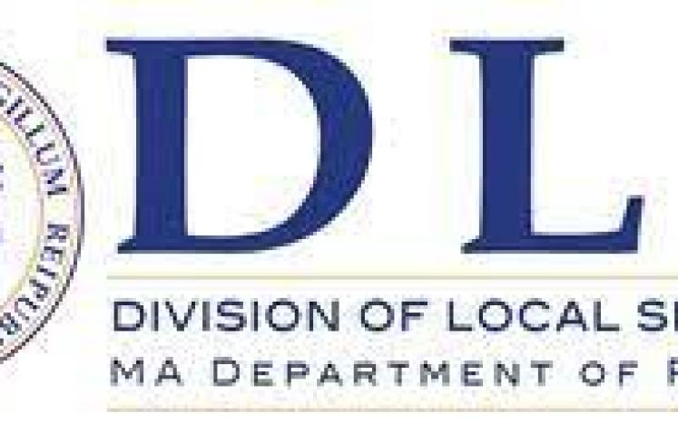 Division of local services logo