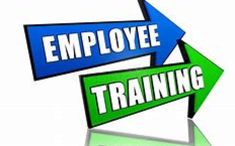 employee training written in white on a blue and green arrow