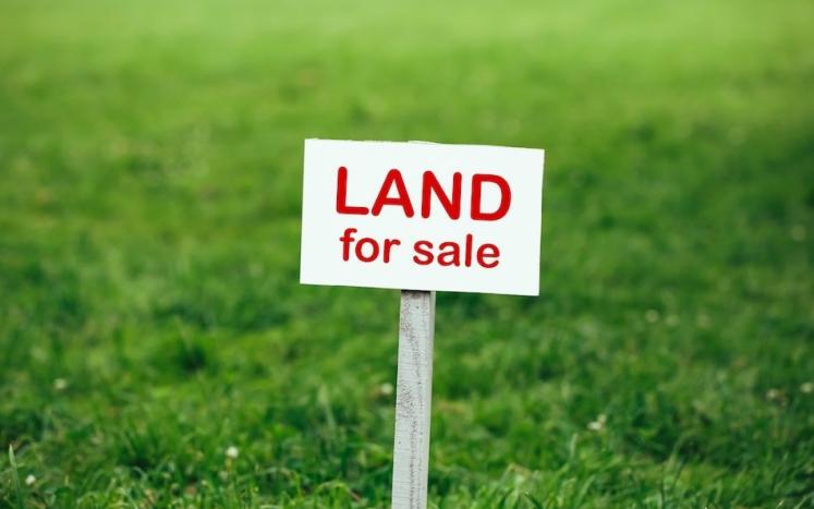 green grass with "land for sale" sign