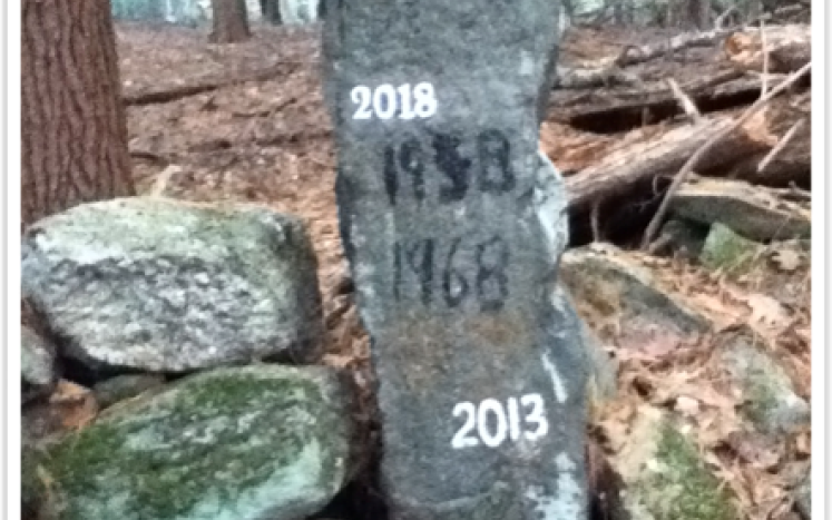 Boundary Marker with Date