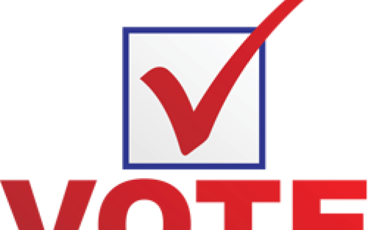vote written in red with a blue box and red check mark
